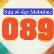 089 là mạng gì