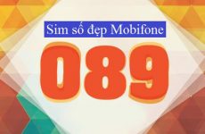 089 là mạng gì