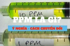 ppm là gì