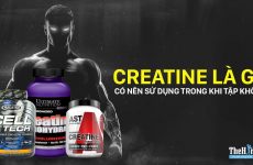 creatine kinase là gì