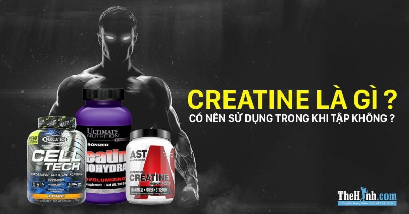 creatine kinase là gì
