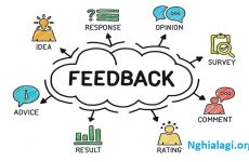 feedback là gì
