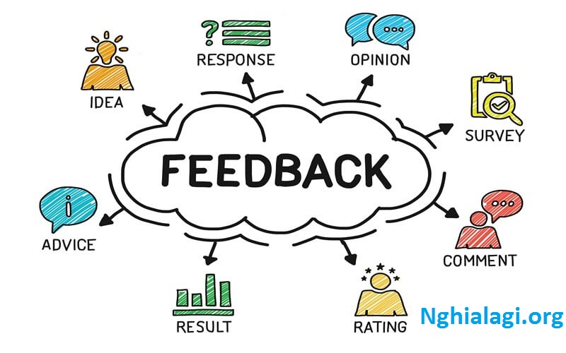 feedback là gì