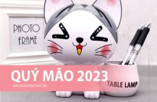 năm 2023 là năm con gì