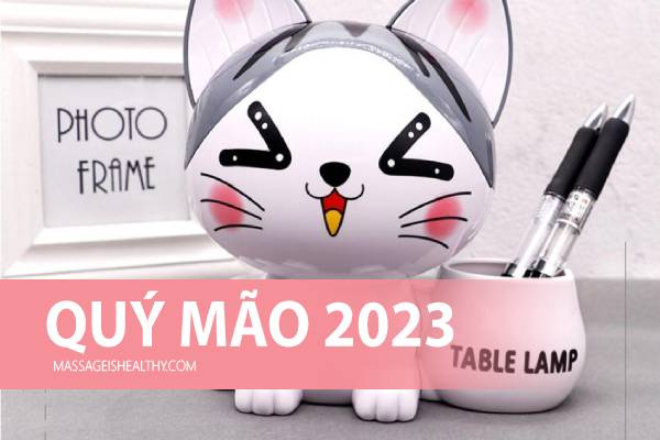 năm 2023 là năm con gì