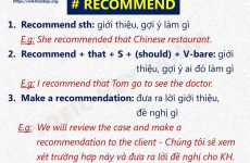 recommend là gì