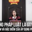sử dụng pháp luật là gì
