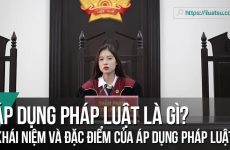 sử dụng pháp luật là gì