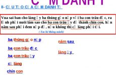 cụm danh từ là gì