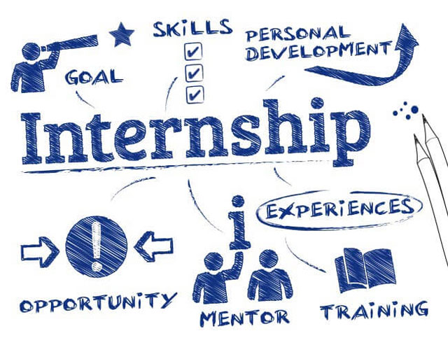 Phân Biệt Senior, Junior, Internship Và Fresher Trong Doanh Nghiệp