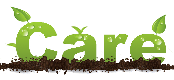 Care là gì? Ý nghĩa và cách sử dụng từ care trong Tiếng Anh