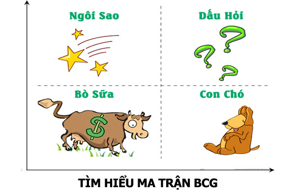 Thị phần là gì? Vai trò và cách xác định thị phần tăng trưởng