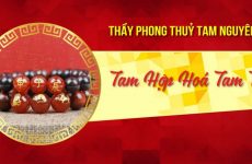 tam tai là gì