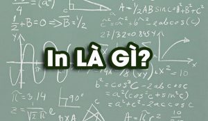 Ý nghĩa của từ LN là gì? Cách dùng LN như thế nào?