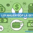 lợi nhuận gộp là gì