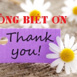 lòng biết ơn là gì