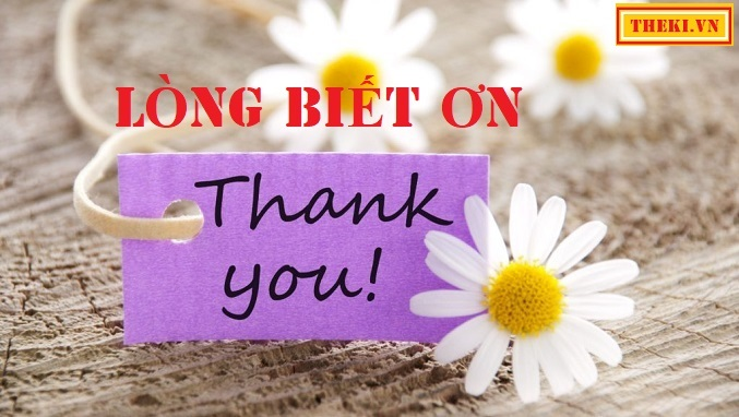 lòng biết ơn là gì