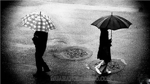 Đánh giá của khách hàng sử dụng sản phẩm trên trang Sheis (nguồn ảnh: BlogAnChoi).