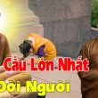 ước mơ là gì