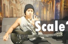 scale là gì