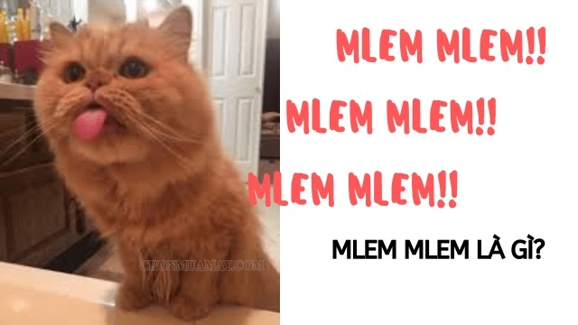 mlem mlem là gì