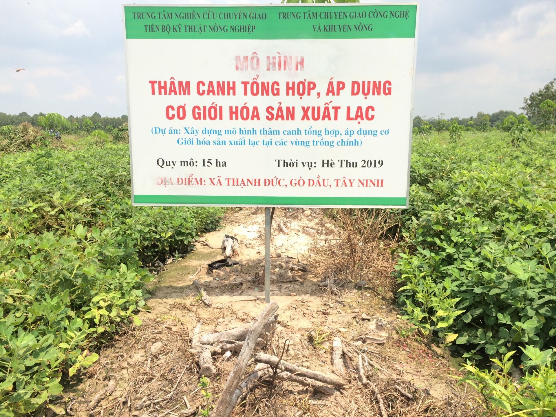 Thâm canh là gì? Vai trò và bản chất của thâm canh - Phân Bón Huy Long