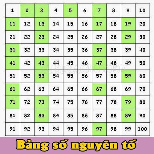 Số nguyên tố là gì? Những khái niệm liên quan đến số nguyên tố