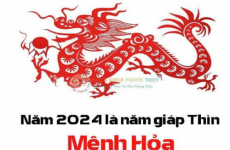 2024 là năm con gì