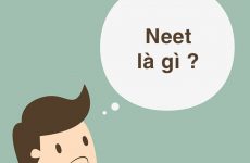 neet là gì