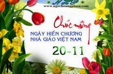 20/11 là ngày gì