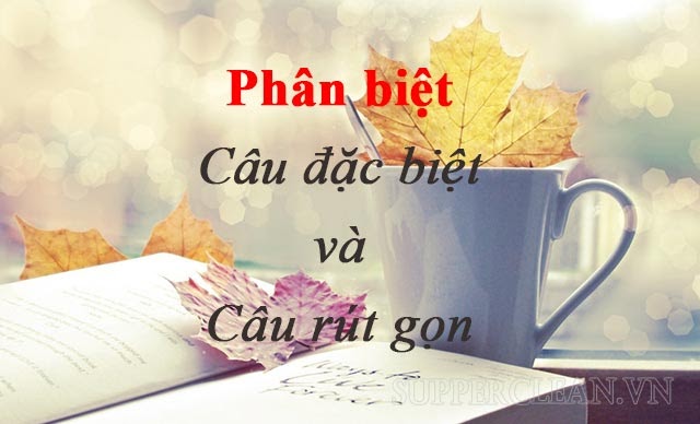 Thế nào là câu đặc biệt? tác dụng của câu đặc biệt & ví dụ