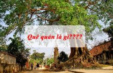 quê quán là gì