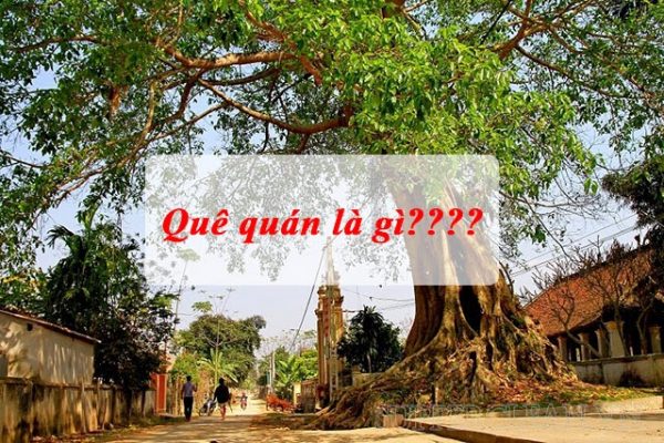 quê quán là gì