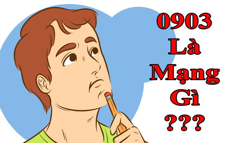 Đầu số số 0903 là mạng gì? - Lưu ý khi lựa chọn đầu sim đầu số 0903