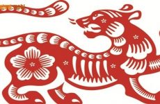 nam 2022 la nam con gi mang gi