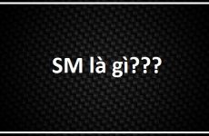 sm là gì