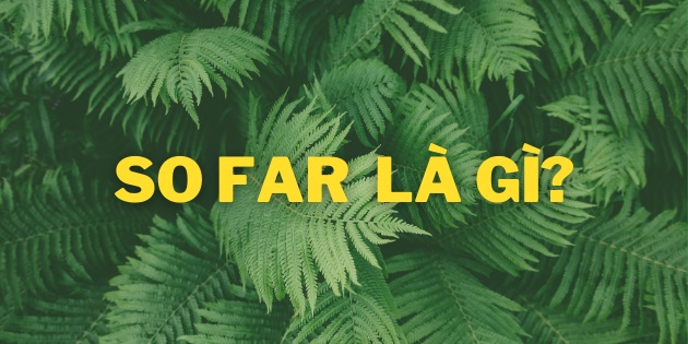 SO FAR Là Gì? Giải Nghĩa và Cách Dùng Cấu Trúc So far, So Good