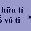 số hữu tỉ là gì