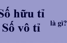 số hữu tỉ là gì