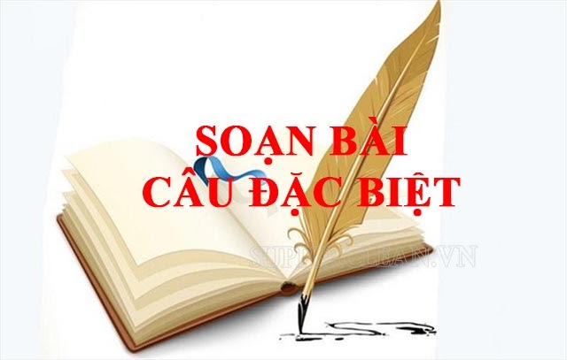 Thế nào là câu đặc biệt? tác dụng của câu đặc biệt & ví dụ