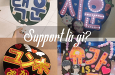 support là gì