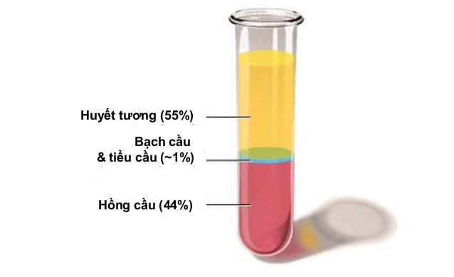 Chai The Face Shop Rice Ceramide Moisture Toner nhỏ gọn, dễ dàng mang đi xa (ảnh: internet).