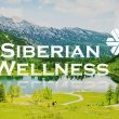 siberian wellness là gì
