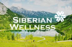 siberian wellness là gì