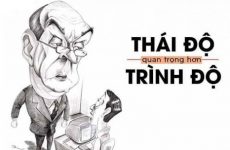 thái độ là gì