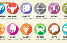 tháng 1 là cung gì