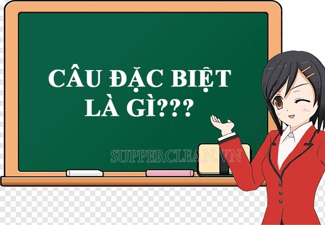 Thế nào là câu đặc biệt? tác dụng của câu đặc biệt & ví dụ