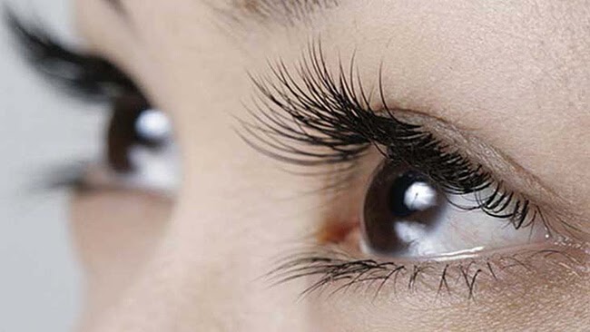 Xúc giác là gì? Tổng quan về 5 giác quan của con người