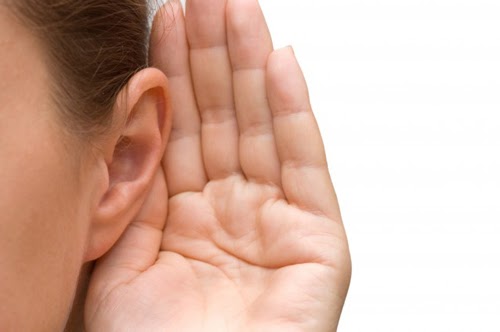 Xúc giác là gì? Tổng quan về 5 giác quan của con người