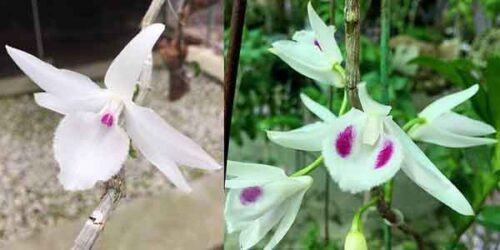 Đánh giá của khách hàng tại Sheis